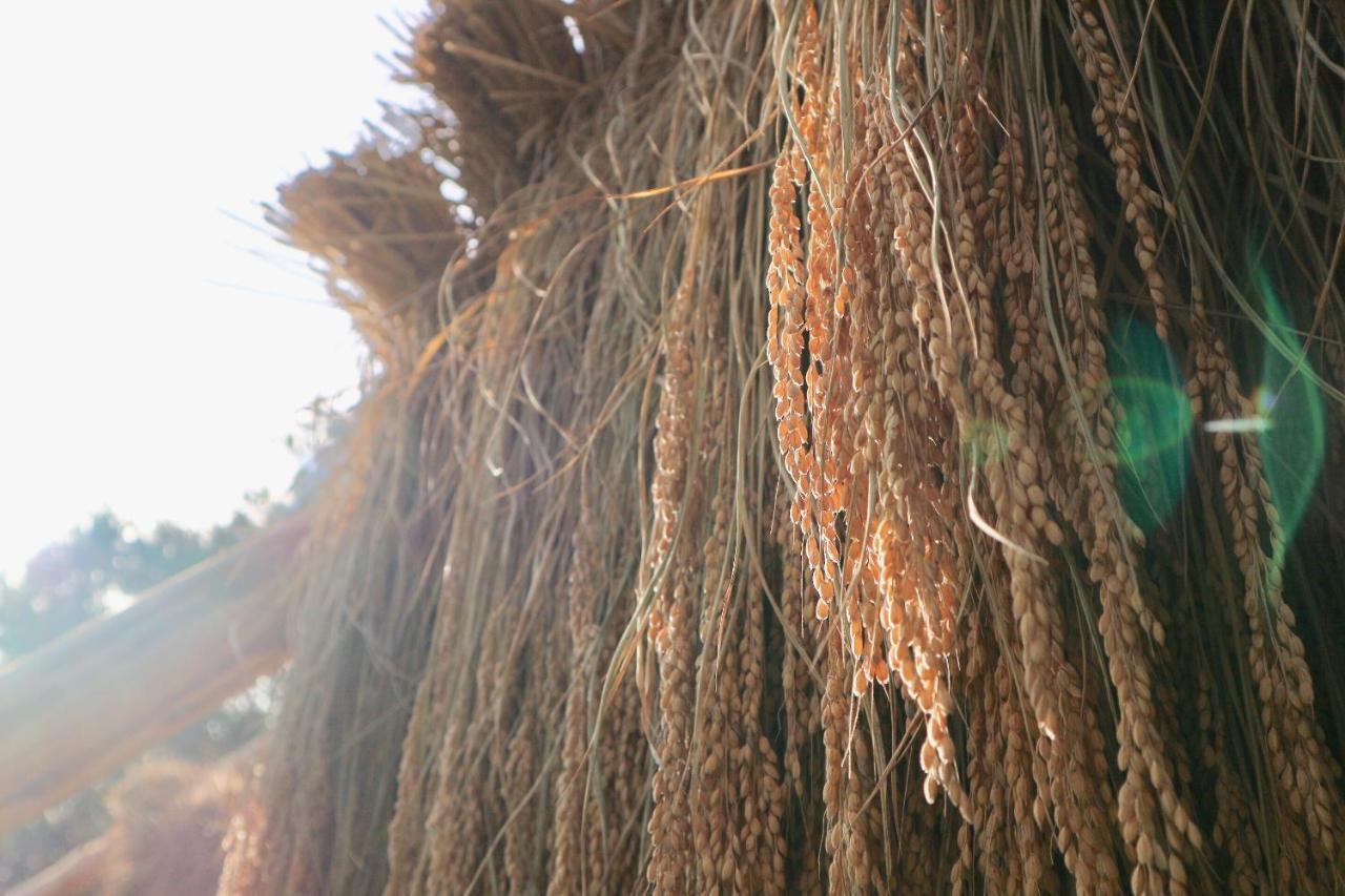Bunanoyado Koase Aga Buitenkant foto